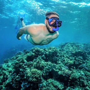 Diving Trip In Jeddah