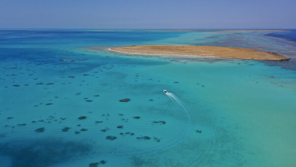 Bayada Island - Image 3