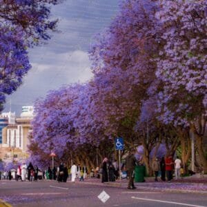 ABHA Nature & Heritage Tour Package